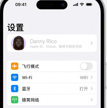 杨林尾镇appleID维修服务iPhone设置中Apple ID显示为灰色无法使用 