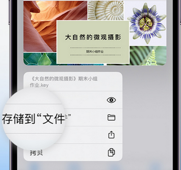 杨林尾镇apple维修中心分享iPhone文件应用中存储和找到下载文件