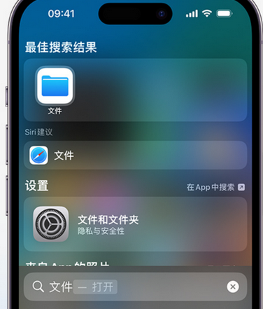 杨林尾镇apple维修中心分享iPhone文件应用中存储和找到下载文件 