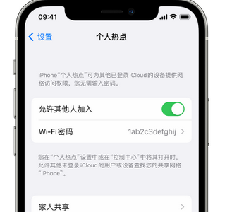 杨林尾镇apple服务站点分享iPhone上个人热点丢失了怎么办