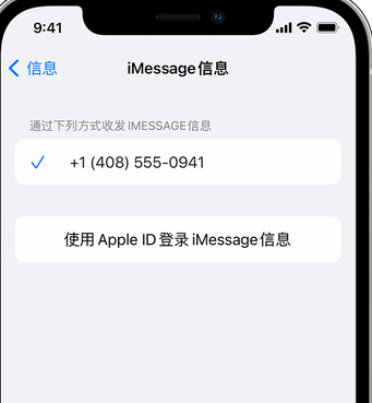 杨林尾镇apple维修iPhone上无法正常发送iMessage信息 