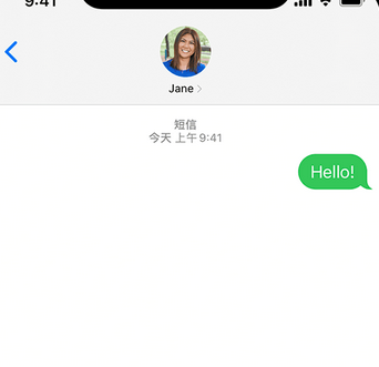 杨林尾镇apple维修iPhone上无法正常发送iMessage信息