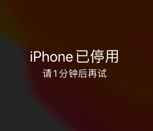 杨林尾镇苹果手机维修分享:iPhone 显示“不可用”或“已停用”怎么办？还能保留数据吗？ 