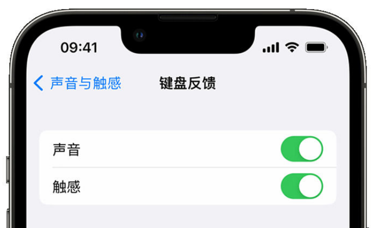 杨林尾镇苹果手机维修分享iPhone 14触感键盘使用方法 