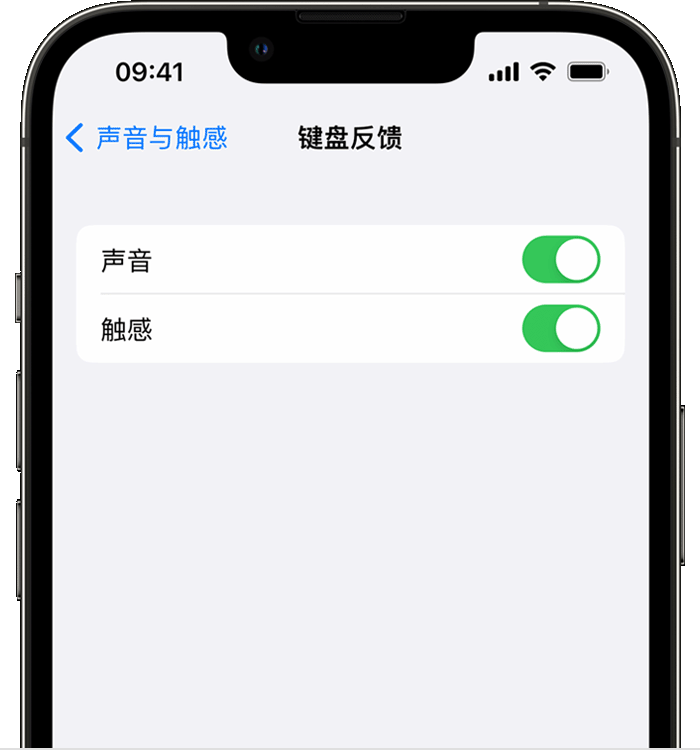 杨林尾镇苹果14维修店分享如何在 iPhone 14 机型中使用触感键盘 