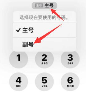 杨林尾镇苹果14维修店分享iPhone 14 Pro Max使用副卡打电话的方法 