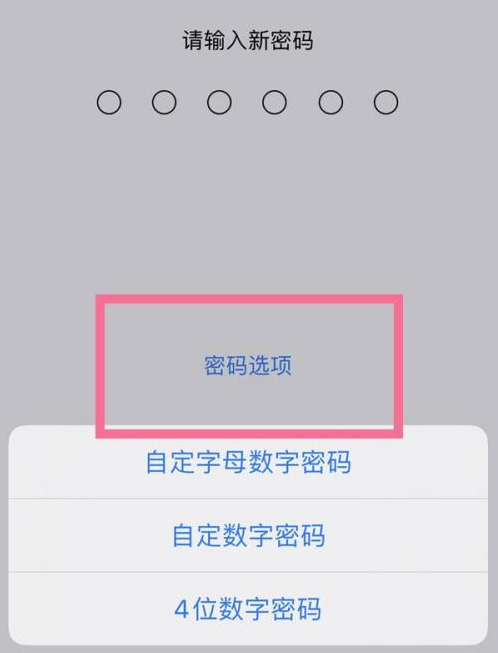 杨林尾镇苹果14维修分享iPhone 14plus设置密码的方法 