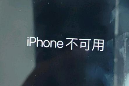 杨林尾镇苹果服务网点分享锁屏界面显示“iPhone 不可用”如何解决 