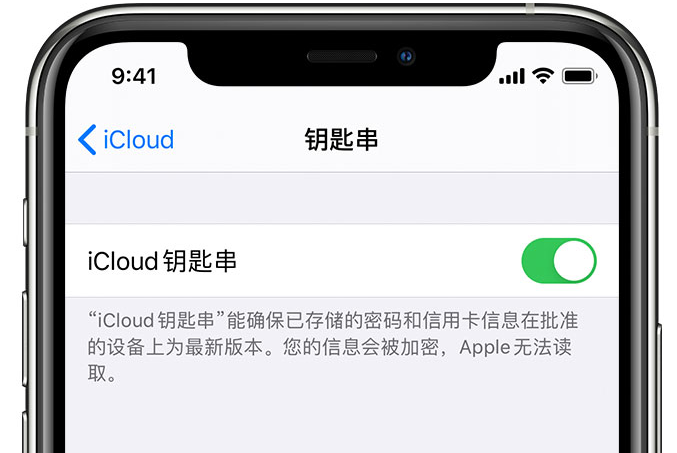 杨林尾镇苹果手机维修分享在 iPhone 上开启 iCloud 钥匙串之后会储存哪些信息 