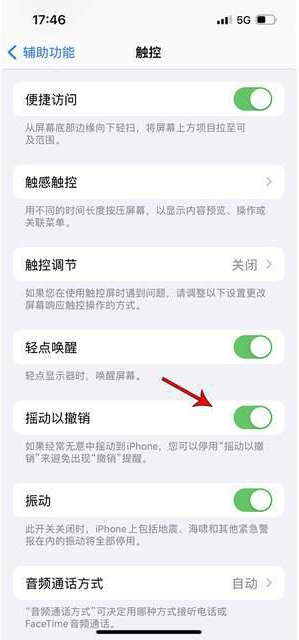 杨林尾镇苹果手机维修分享iPhone手机如何设置摇一摇删除文字 