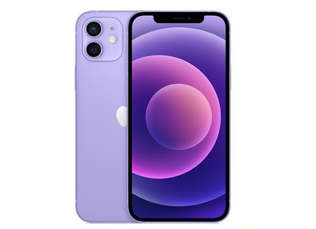 杨林尾镇苹果手机维修分享现阶段要不要入手紫色版iPhone12 