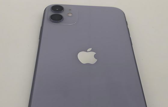 杨林尾镇苹果11系统维修分享iPhone11手机系统崩溃无法开机如何解决 